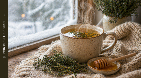 Une tasse d’infusion de thym fumante près d’une fenêtre en hiver, avec une cuillère de miel et quelques branches de thym contre les maladies hivernales - Herboristerie Sensathé